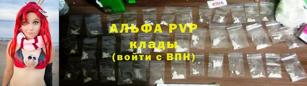 spice Богданович
