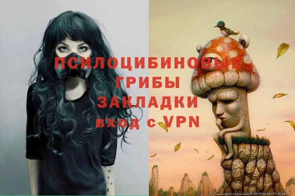 кокаин колумбия Белокуриха