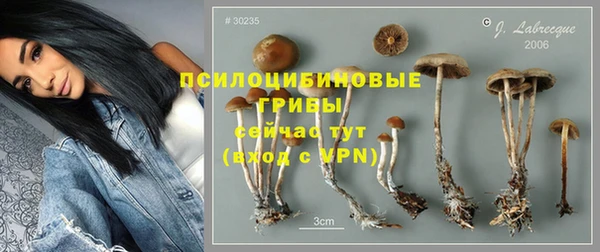 экстази Богородицк