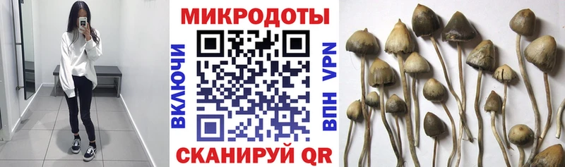 Галлюциногенные грибы мицелий  Белый 